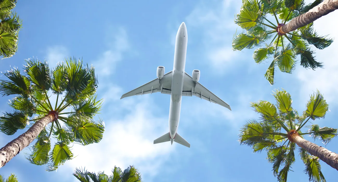 a plane flying over palm trees