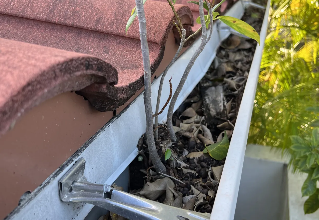 Calgary Gutter Cleaning | Men In Kilts