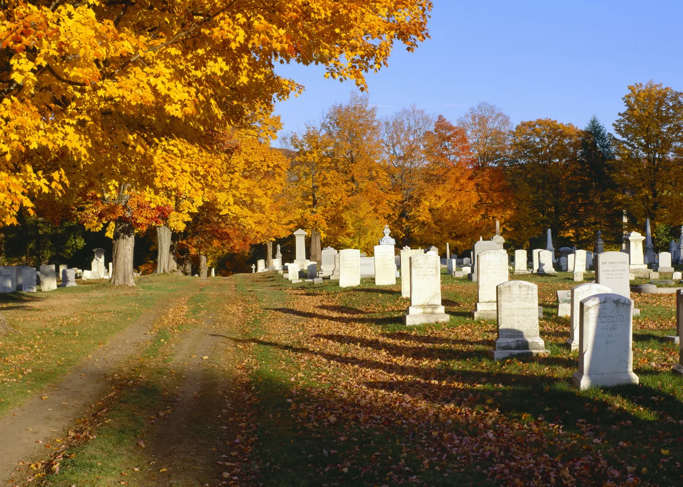 Burial Planning Products & Services: Cemetery Products