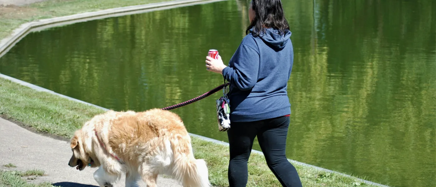 Woman walking a golden retriever dog along a path near a green pond on a sunny day