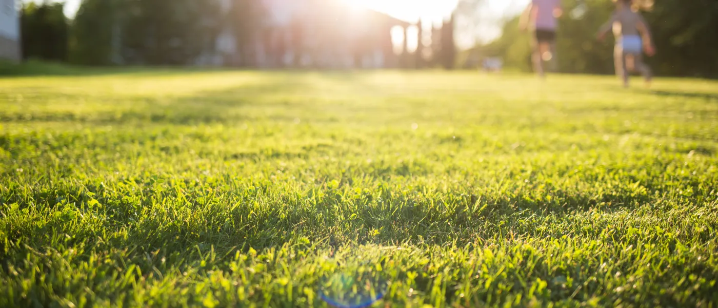 a couple of people walking in a field of grass