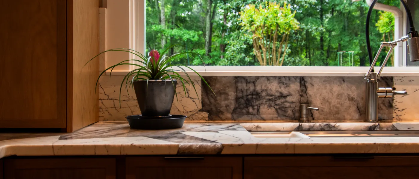 Marble kitchen countertop with a potted plant next to a modern faucet and large window showing green trees outside.