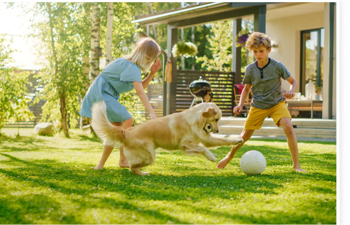 a dog chasing a person