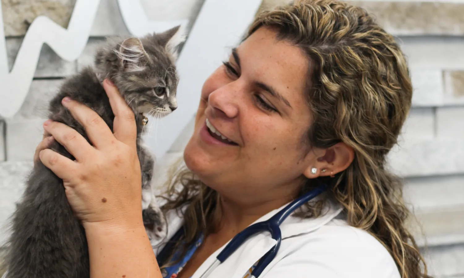 Baymeadows Animal Hospital Jacksonville FL Forever Vets