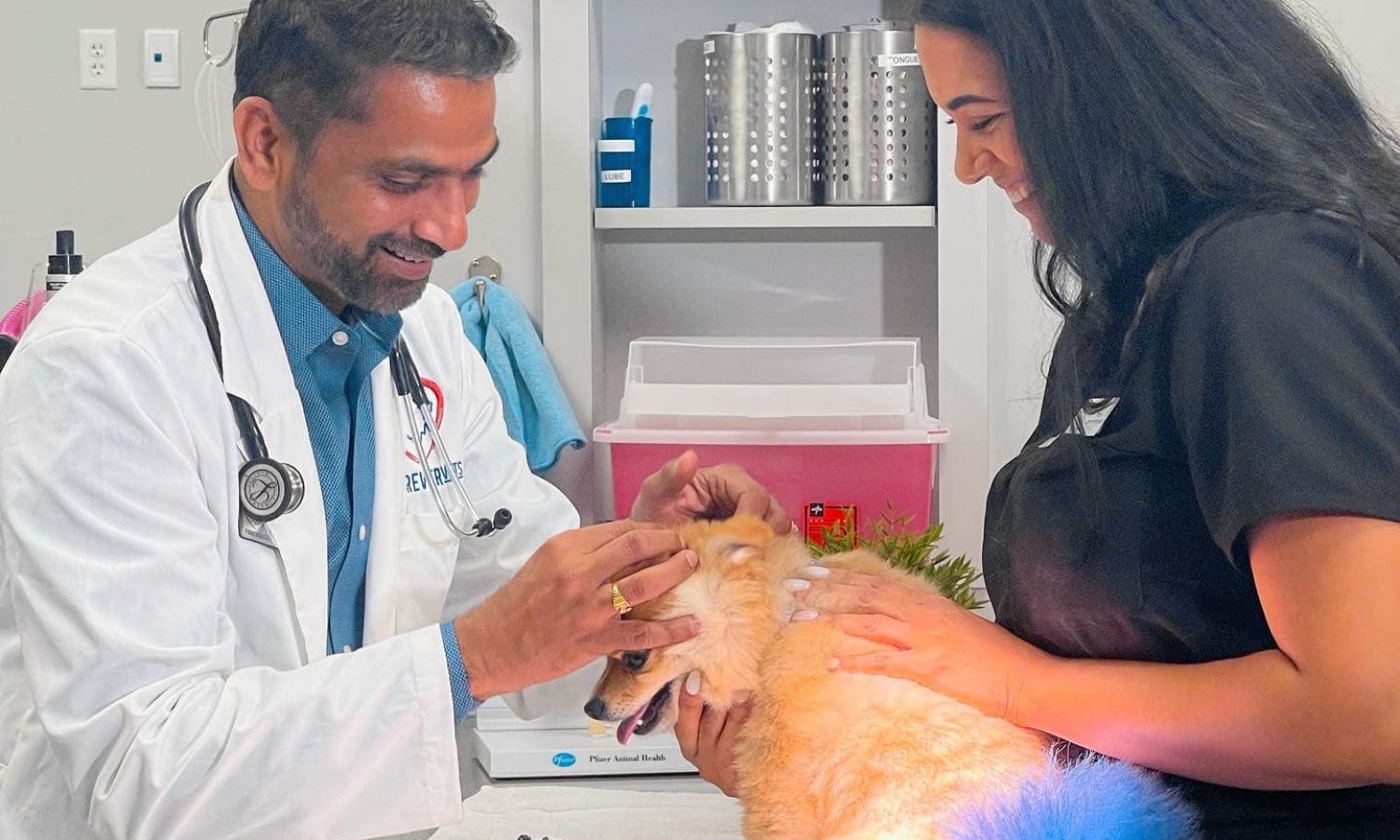 Animal Hospital In Tinseltown Jacksonville, FL Forever Vets