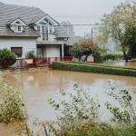 Parker Young Restoration