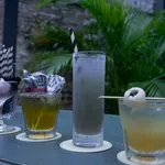 Assorted cocktails in different glasses on a bar counter with greenery in the background at dusk.