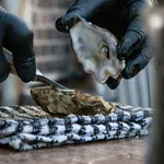 Hands wearing black gloves shucking a fresh oyster over a striped towel on a wooden surface.