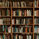 Wooden bookshelves filled with a variety of books organized by size and color in a cozy library setting
