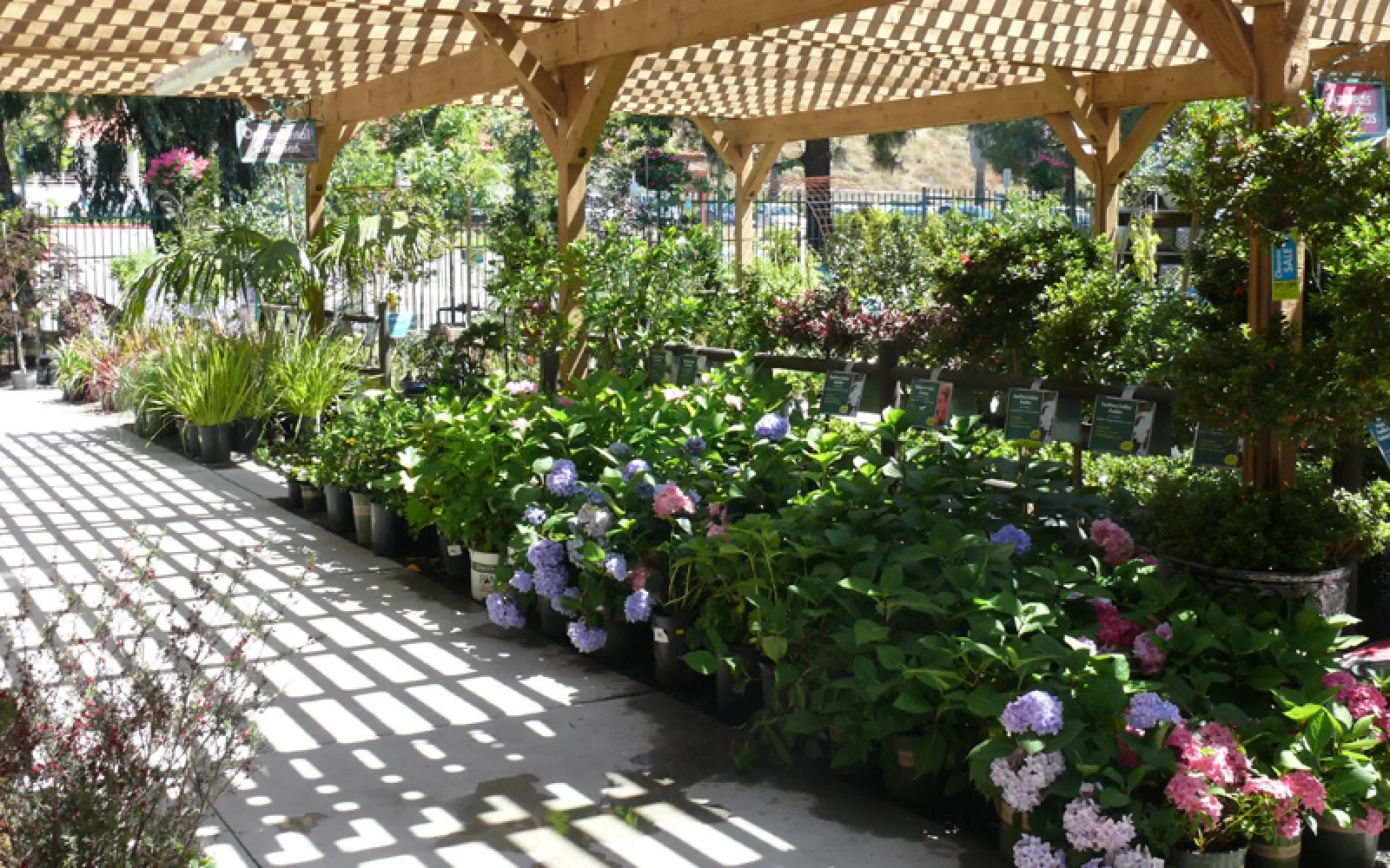 Armstrong Garden Center & Landscape Design Rancho Penasquitos San Diego, CA Armstrong Garden