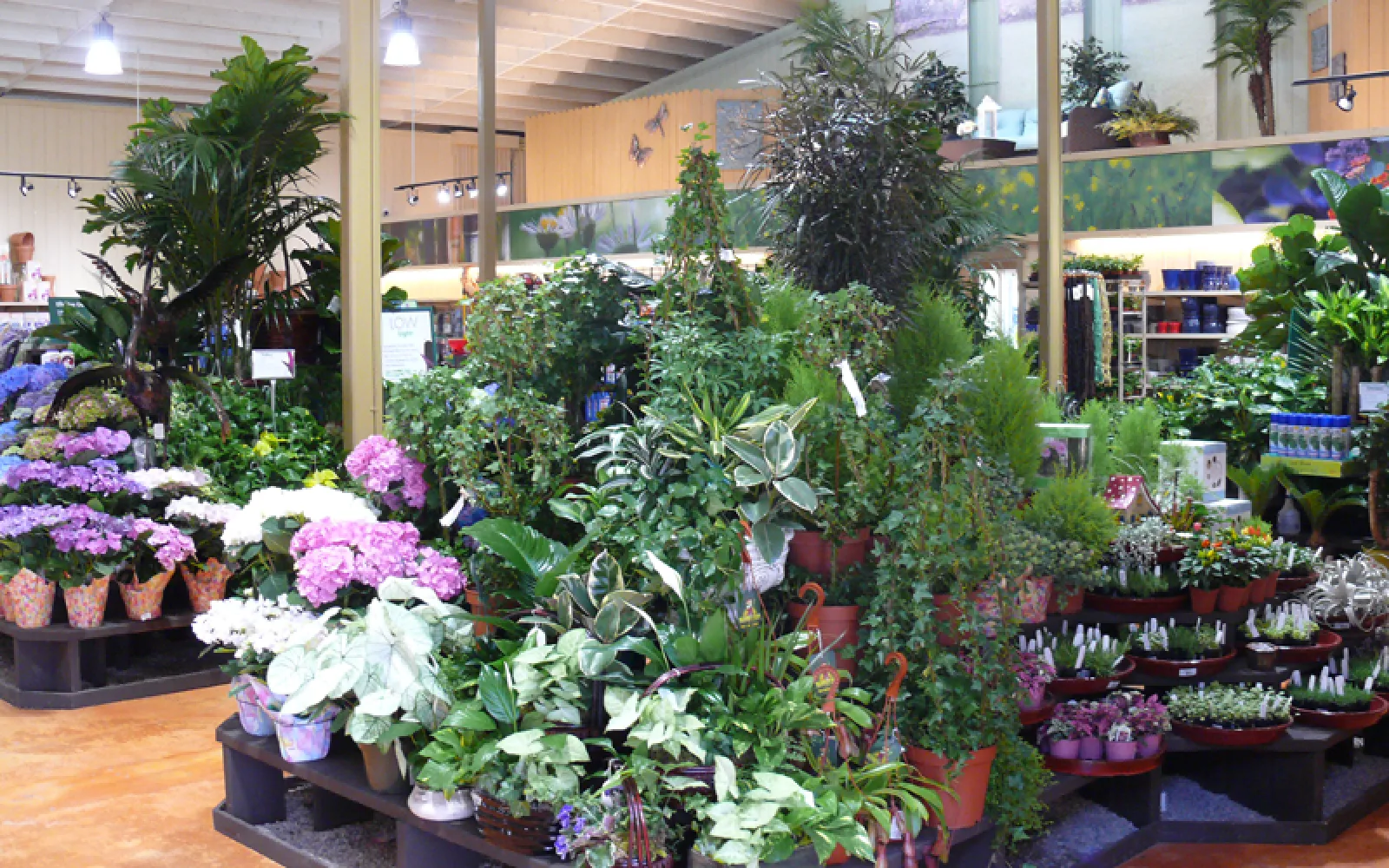 Armstrong Garden Center & Landscape Design Morena San Diego, CA