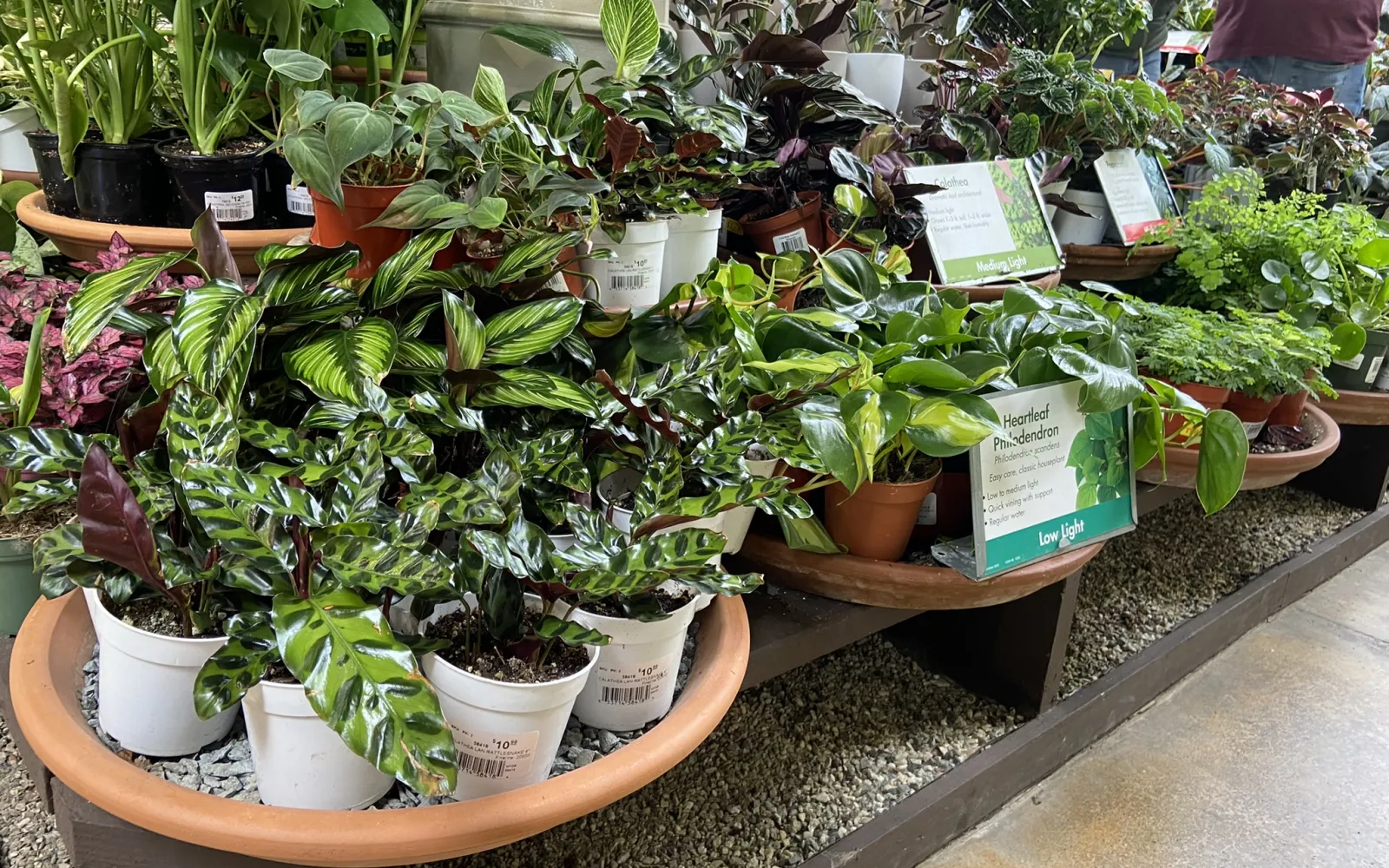 Armstrong Garden Center & Landscape Design Torrance Los Angeles, CA