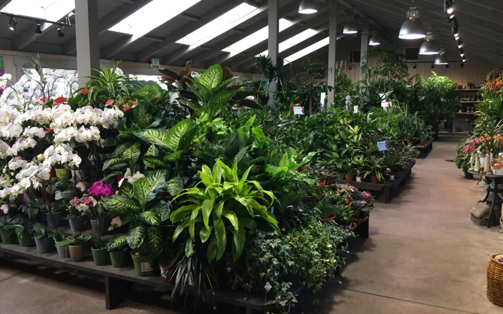 Armstrong Garden Center &amp; Landscape Design Pasadena - Los Angeles, CA ...