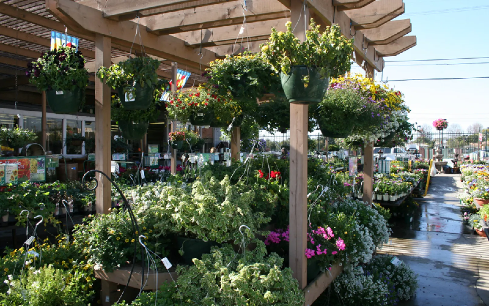 Armstrong Garden Center & Landscape Design Westchester - Los Angeles ...