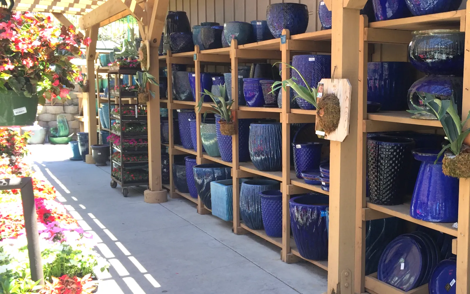 Armstrong Garden Center & Landscape Design Del Mar San Diego, CA