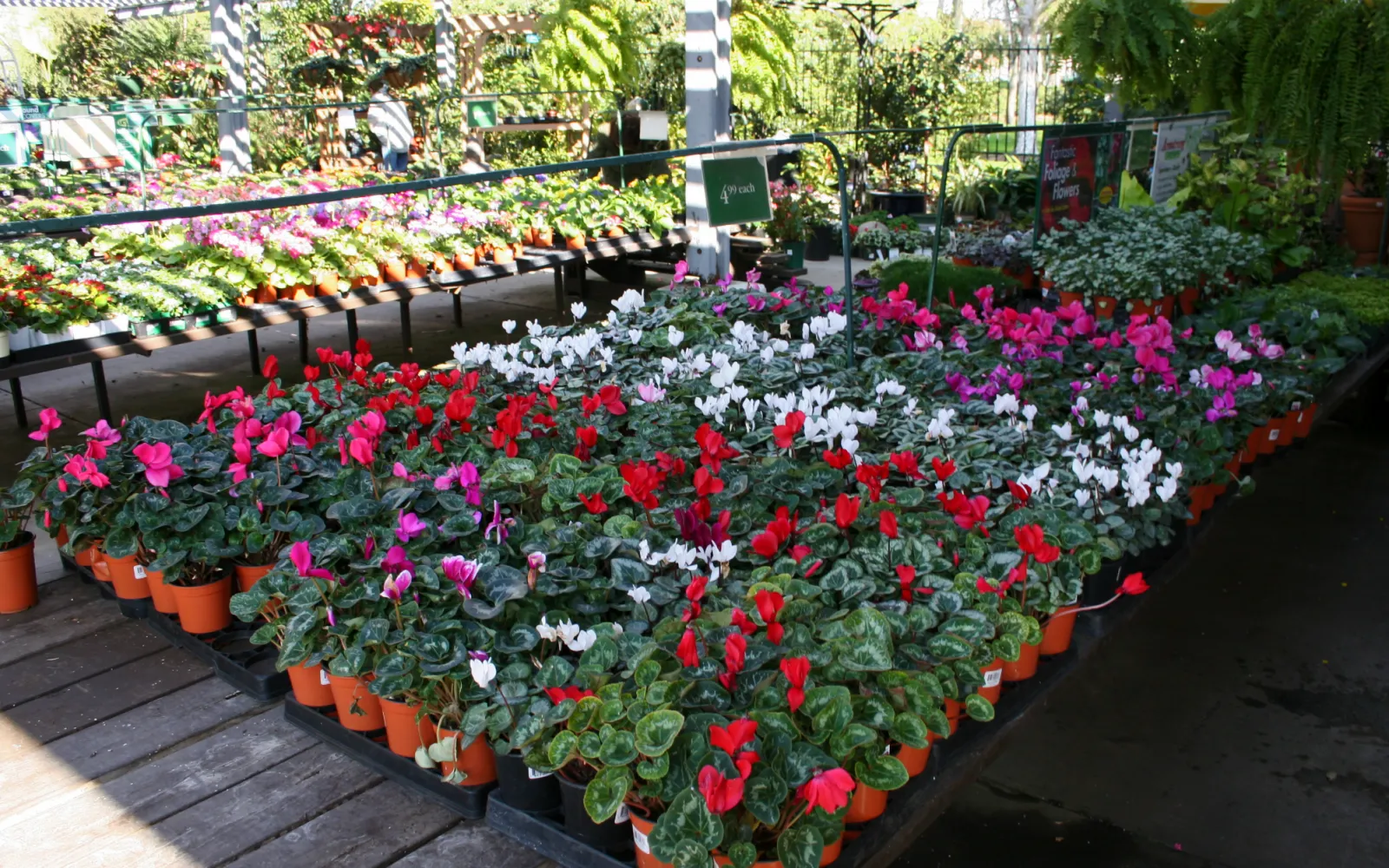 Armstrong Garden Center & Landscape Design Huntington Beach Orange County, CA Armstrong