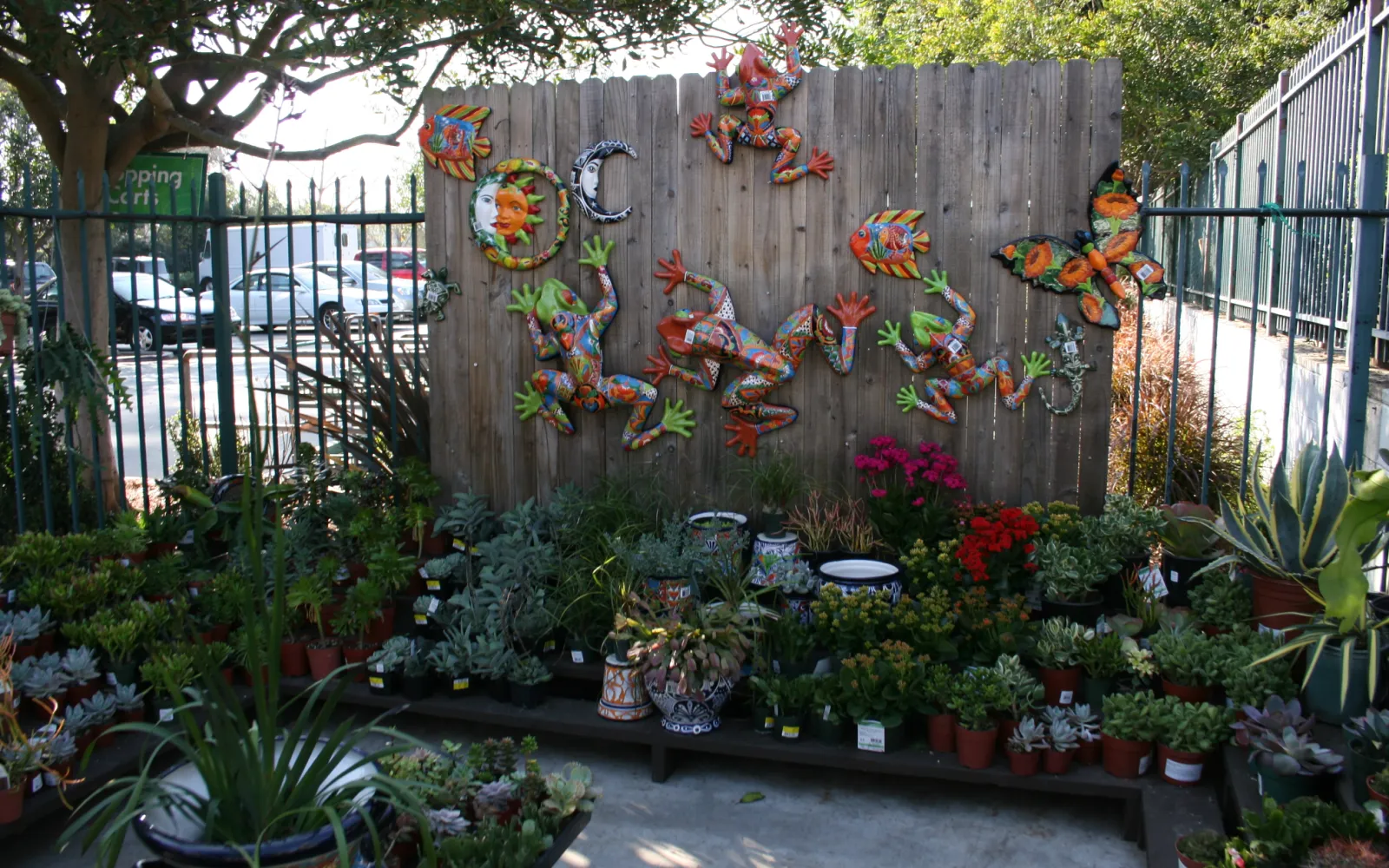 Armstrong Garden Center & Landscape Design Huntington Beach Orange County, CA Armstrong