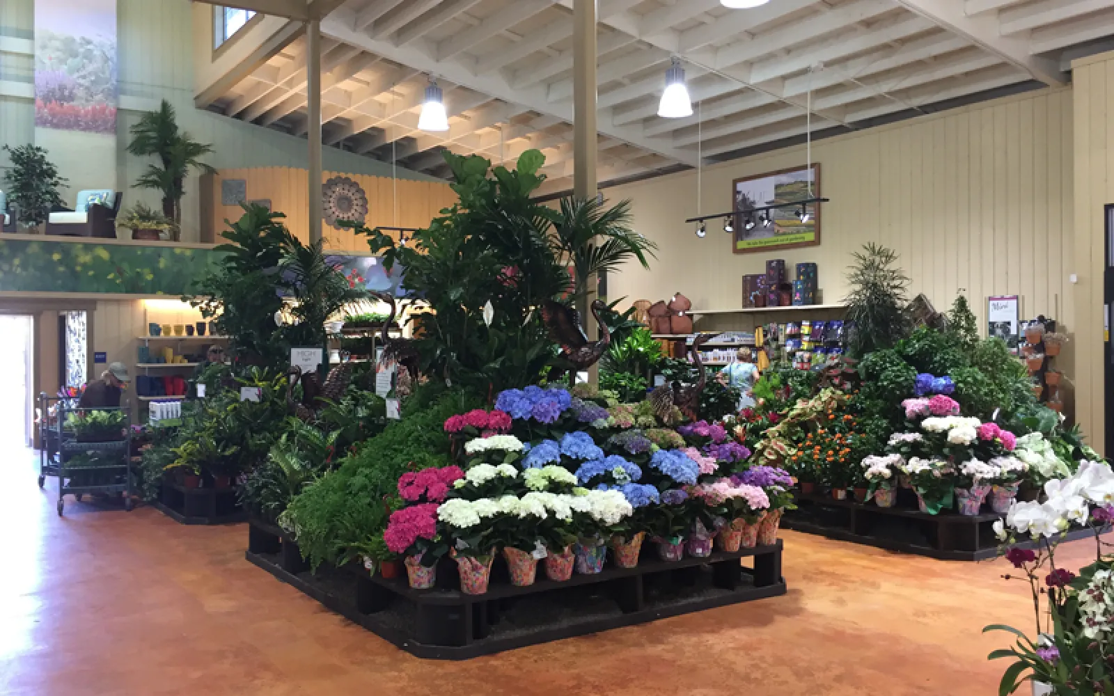 Armstrong Garden Center & Landscape Design Morena San Diego, CA