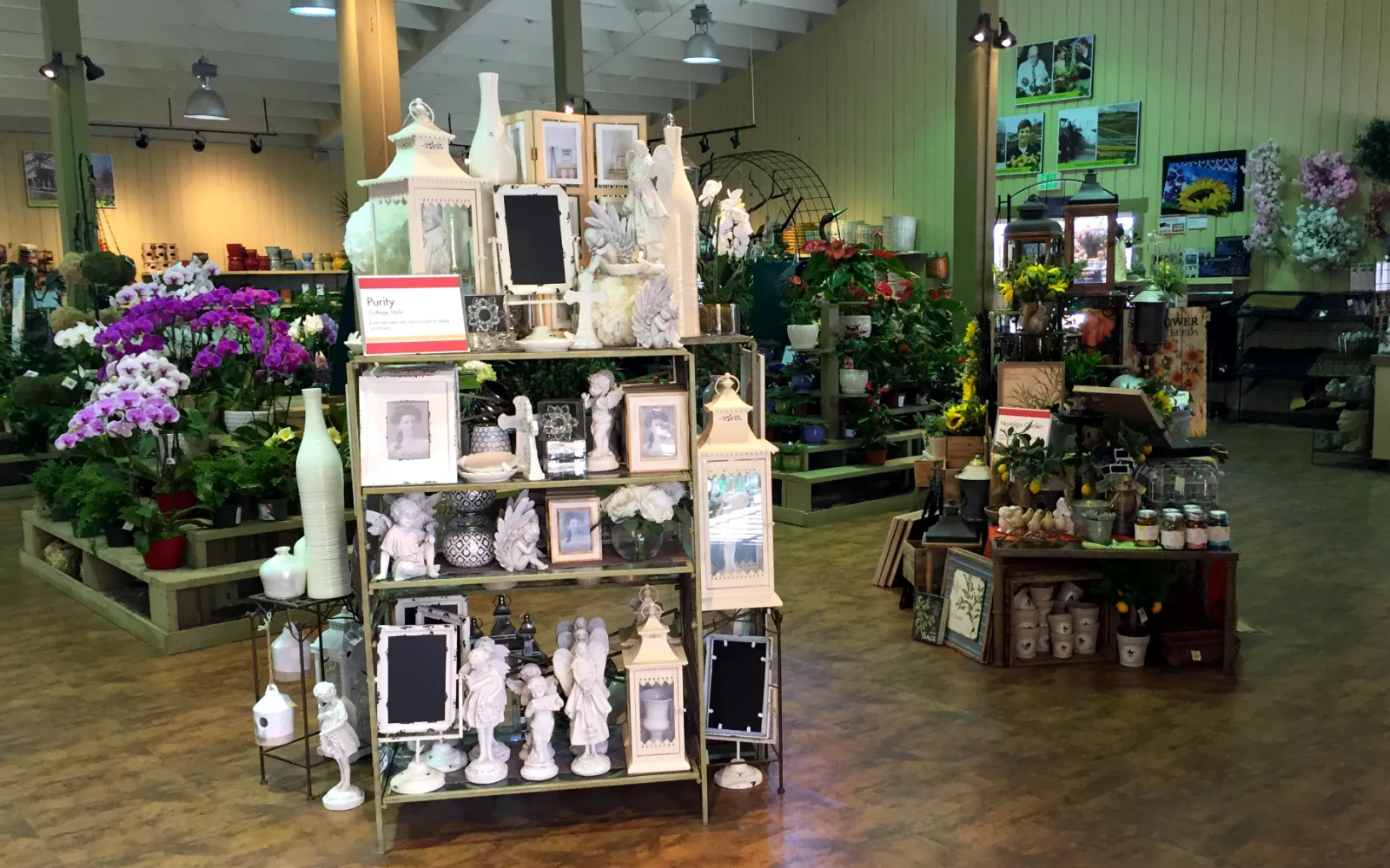 Armstrong Garden Center & Landscape Design Del Mar San Diego, CA