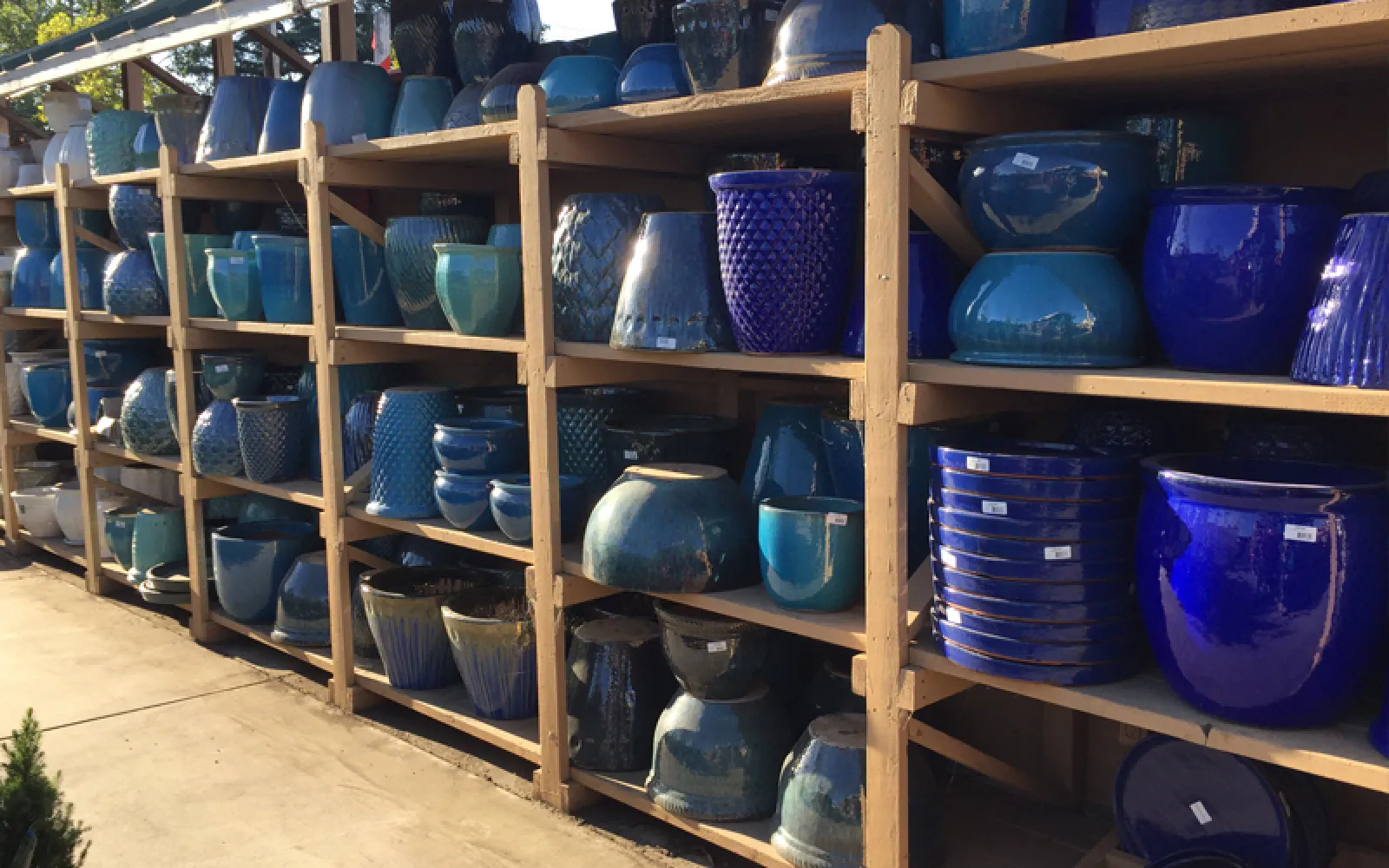 Armstrong Garden Center &amp; Landscape Design Pasadena - Los Angeles, CA ...