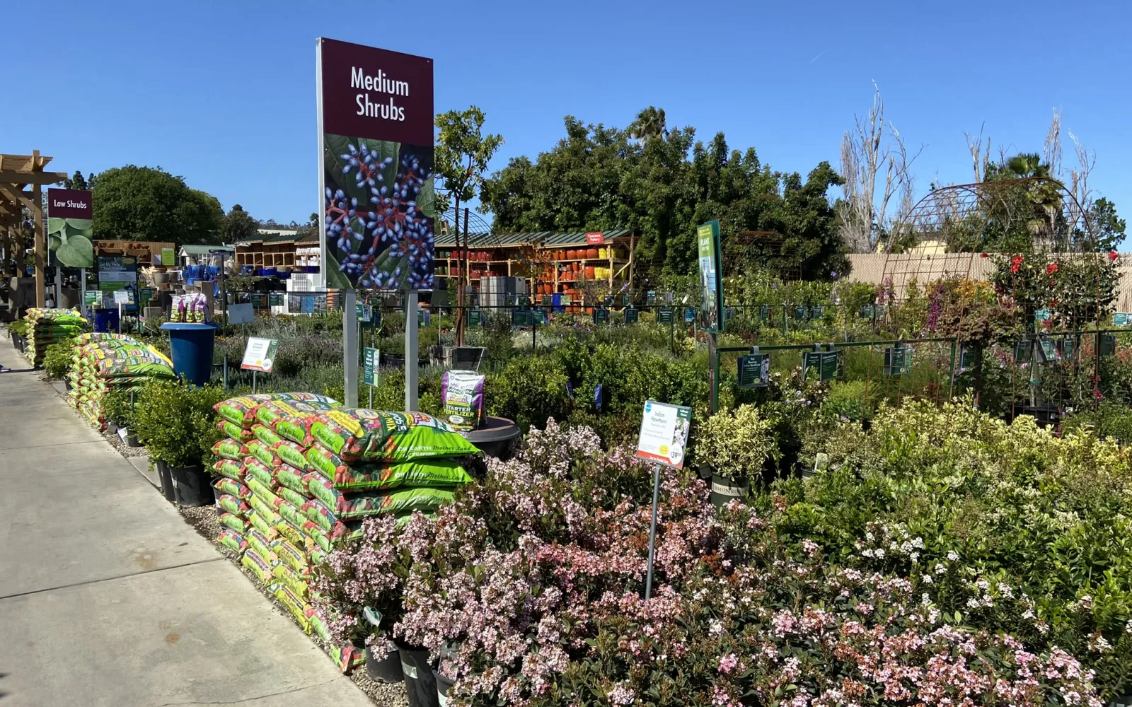 Armstrong Garden Center & Landscape Design Torrance Los Angeles, CA