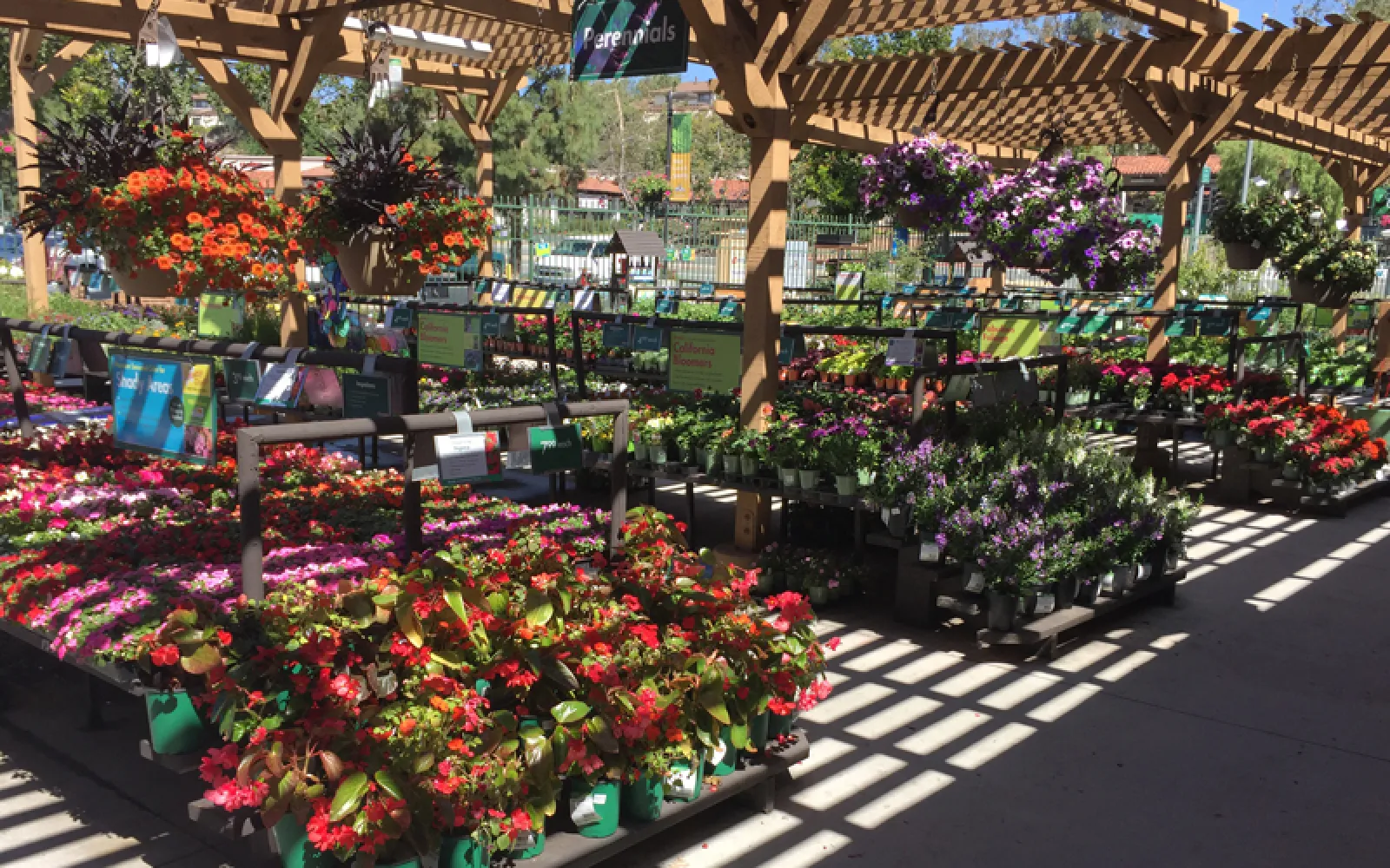 Armstrong Garden Center & Landscape Design Rancho Penasquitos San Diego, CA Armstrong Garden