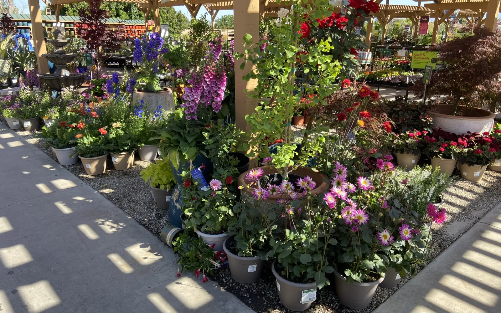 Armstrong Garden Center & Landscape Design Torrance Los Angeles, CA