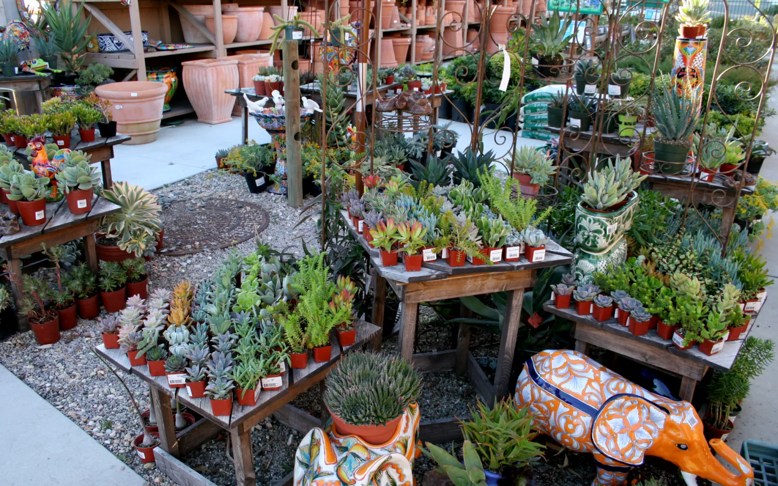 Armstrong Garden Center & Landscape Design El Cajon San Diego, CA