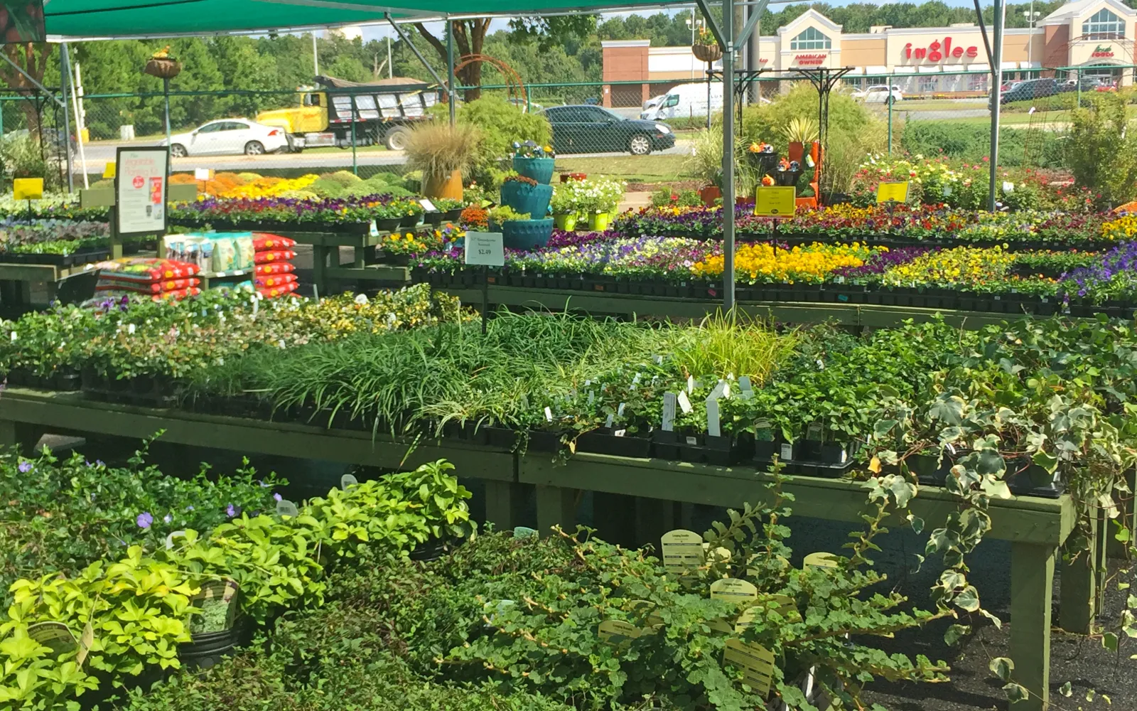 Pike Nurseries Garden Center & Landscape Design Cumming, GA Pike