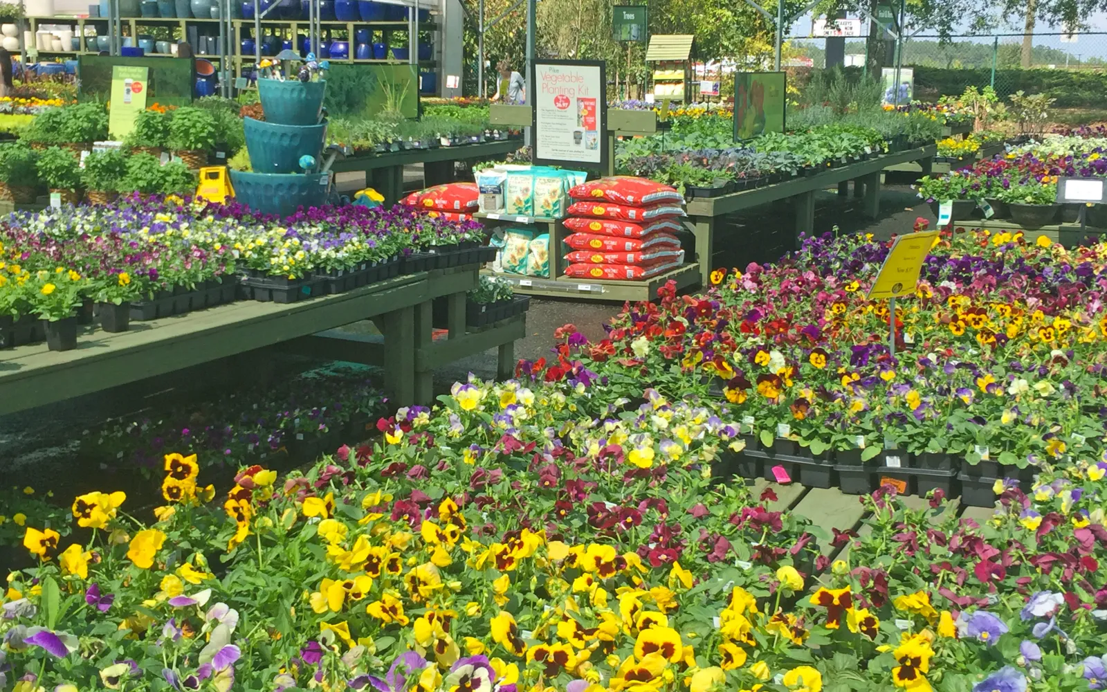 Pike Nurseries Garden Center & Landscape Design Cumming, GA Pike