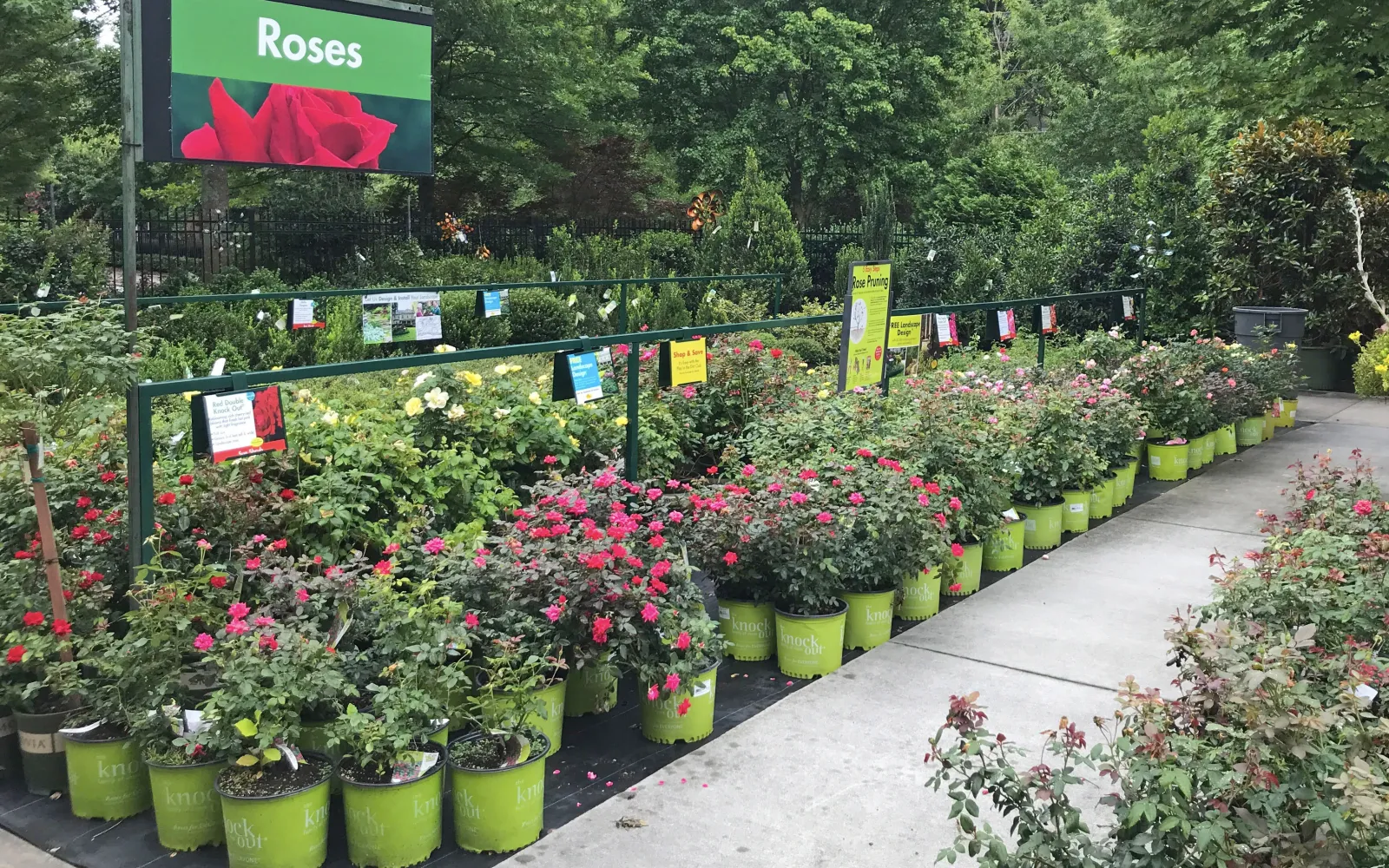 Pike Nurseries Garden Center & Landscape Design Lindbergh, Atlanta, GA