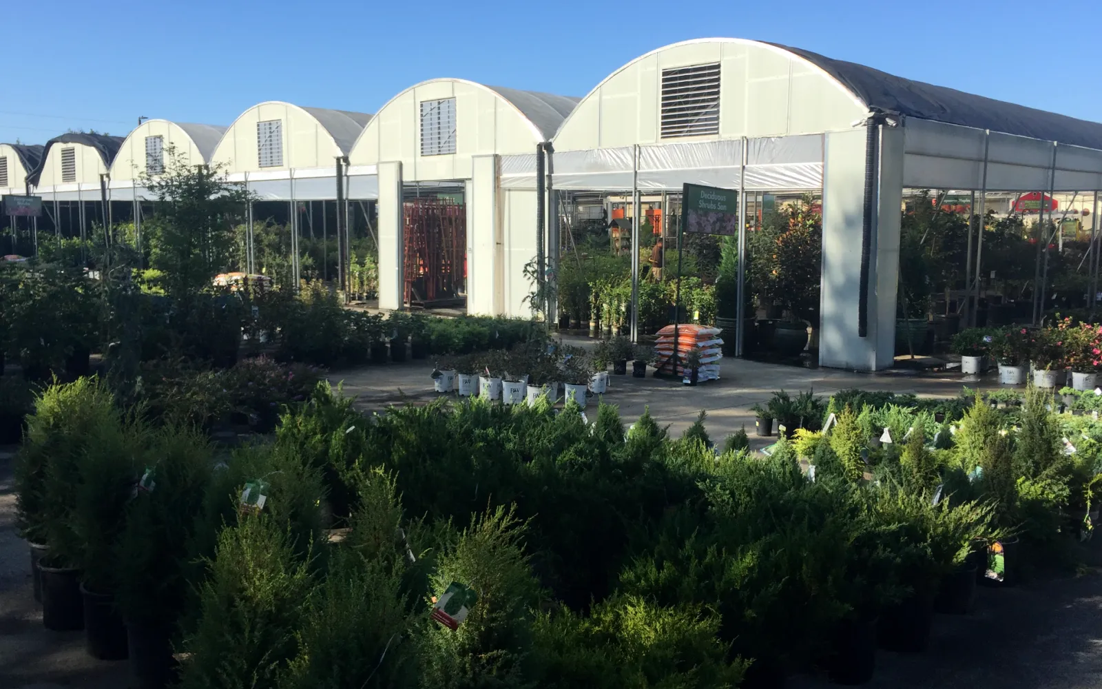 Pike Nurseries Garden Center & Landscape Design West Cobb, GA Pike