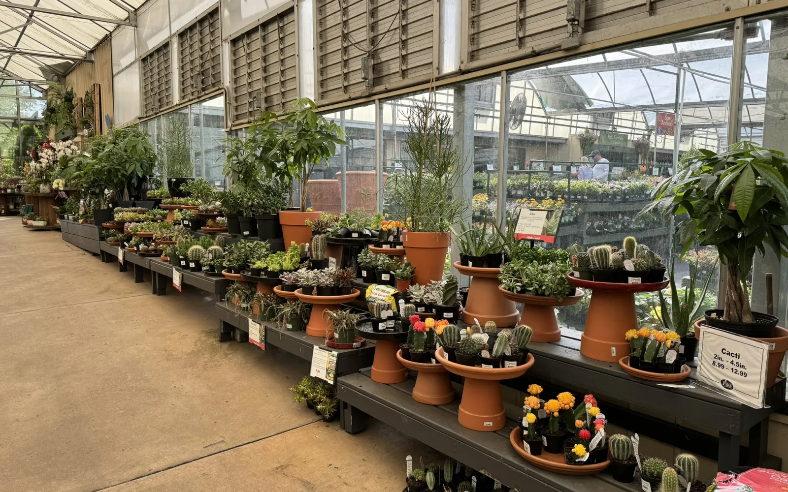 Pike Nurseries Garden Center & Landscape Design Buckhead, Atlanta, GA