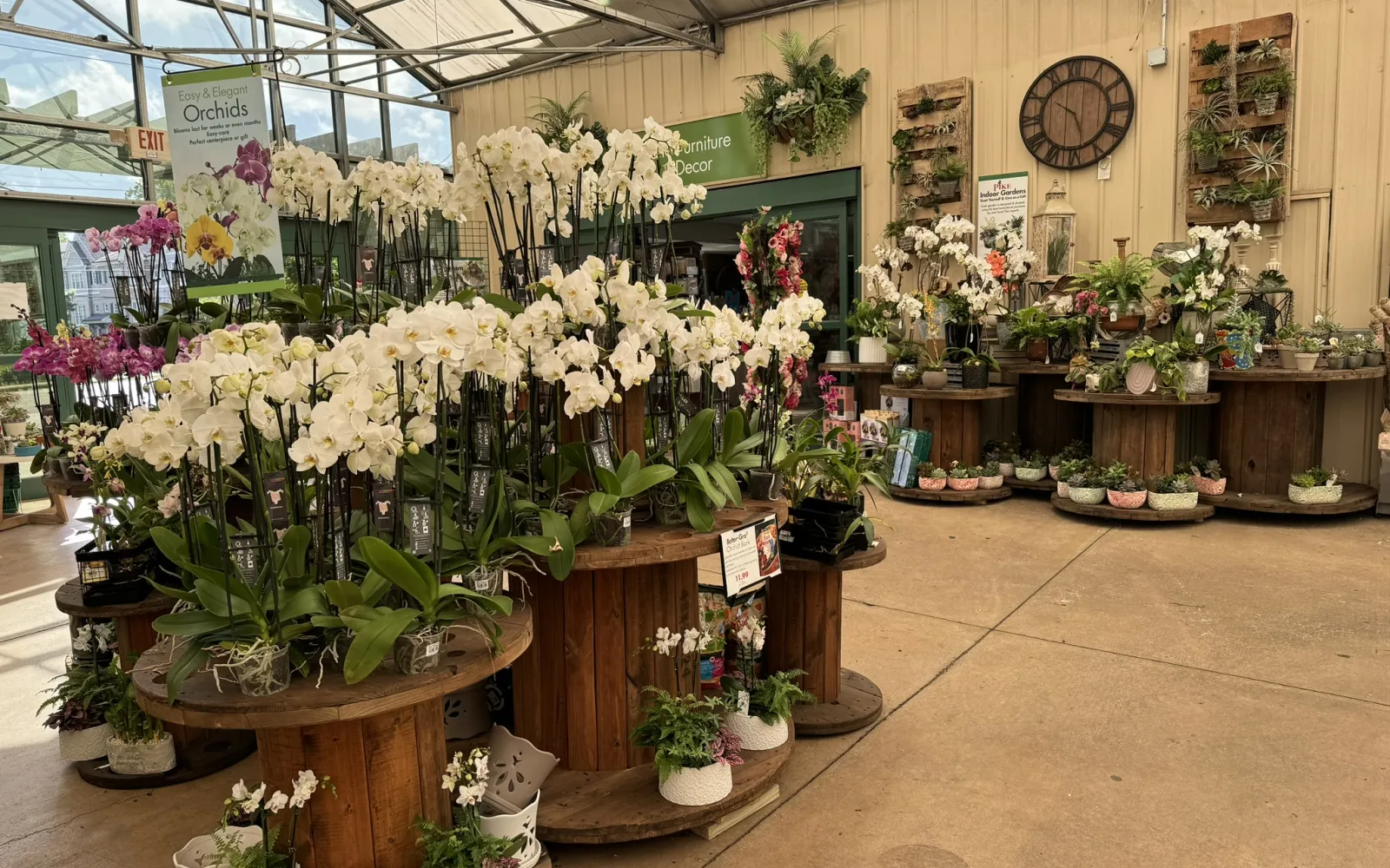 Pike Nurseries Garden Center & Landscape Design Buckhead, Atlanta, GA