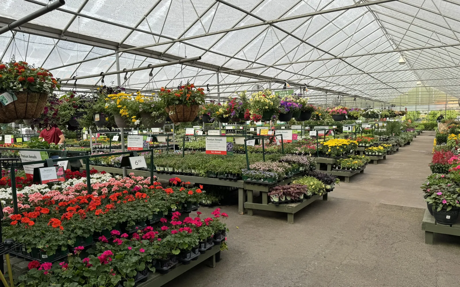 Pike Nurseries Garden Center & Landscape Design Toco Hills, Atlanta, GA