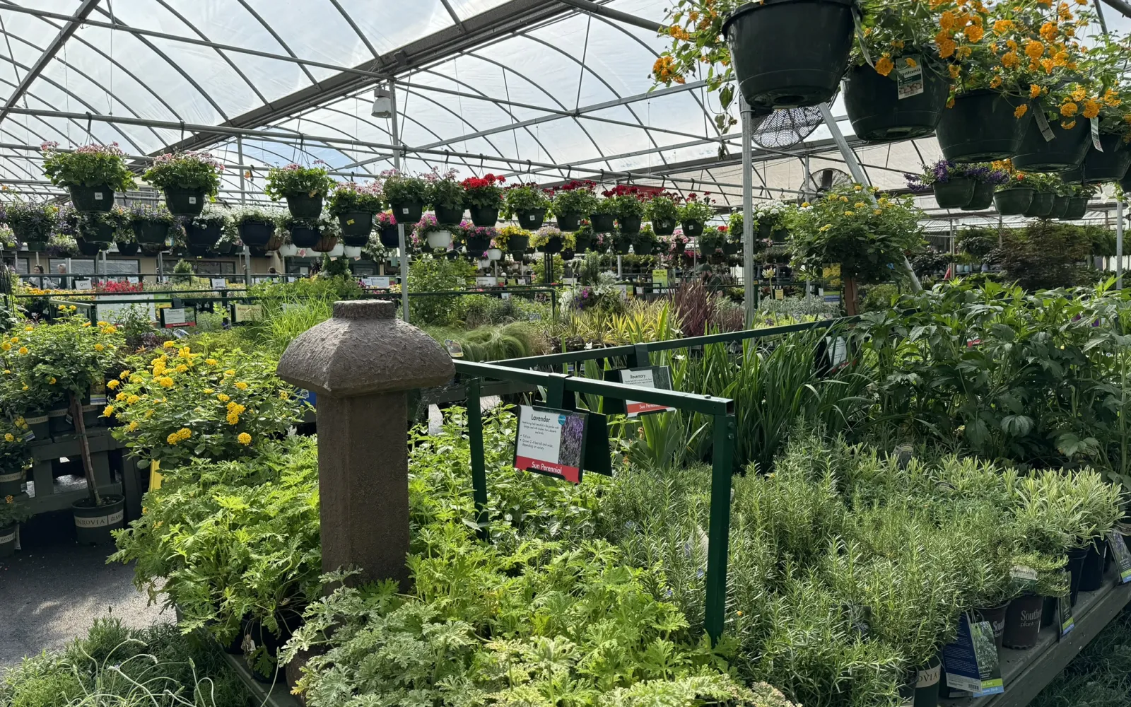 Pike Nurseries Garden Center & Landscape Design Buckhead, Atlanta, GA