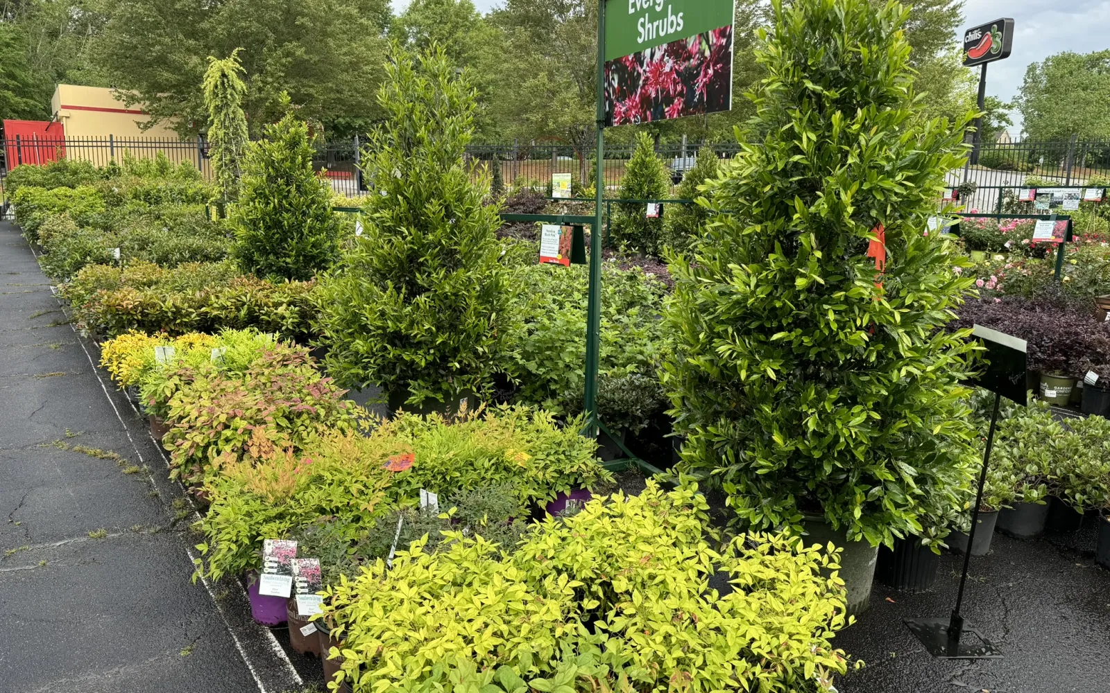 Pike Nurseries Garden Center & Landscape Design Toco Hills, Atlanta, GA