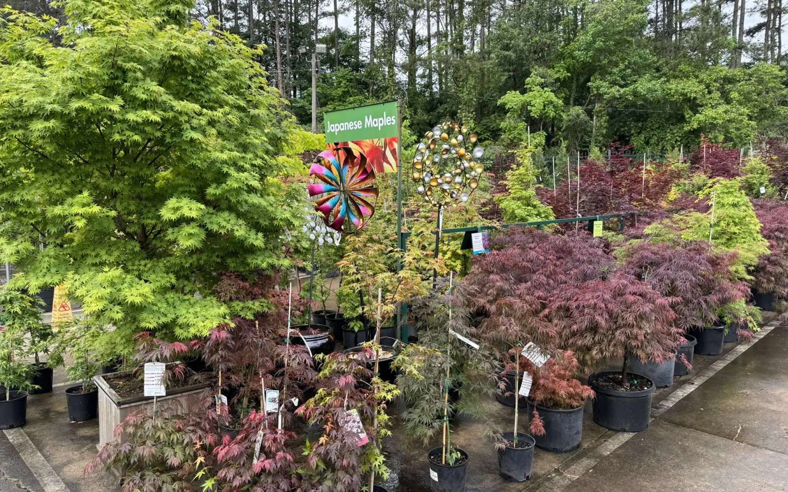 Pike Nurseries Garden Center & Landscape Design Toco Hills, Atlanta, GA
