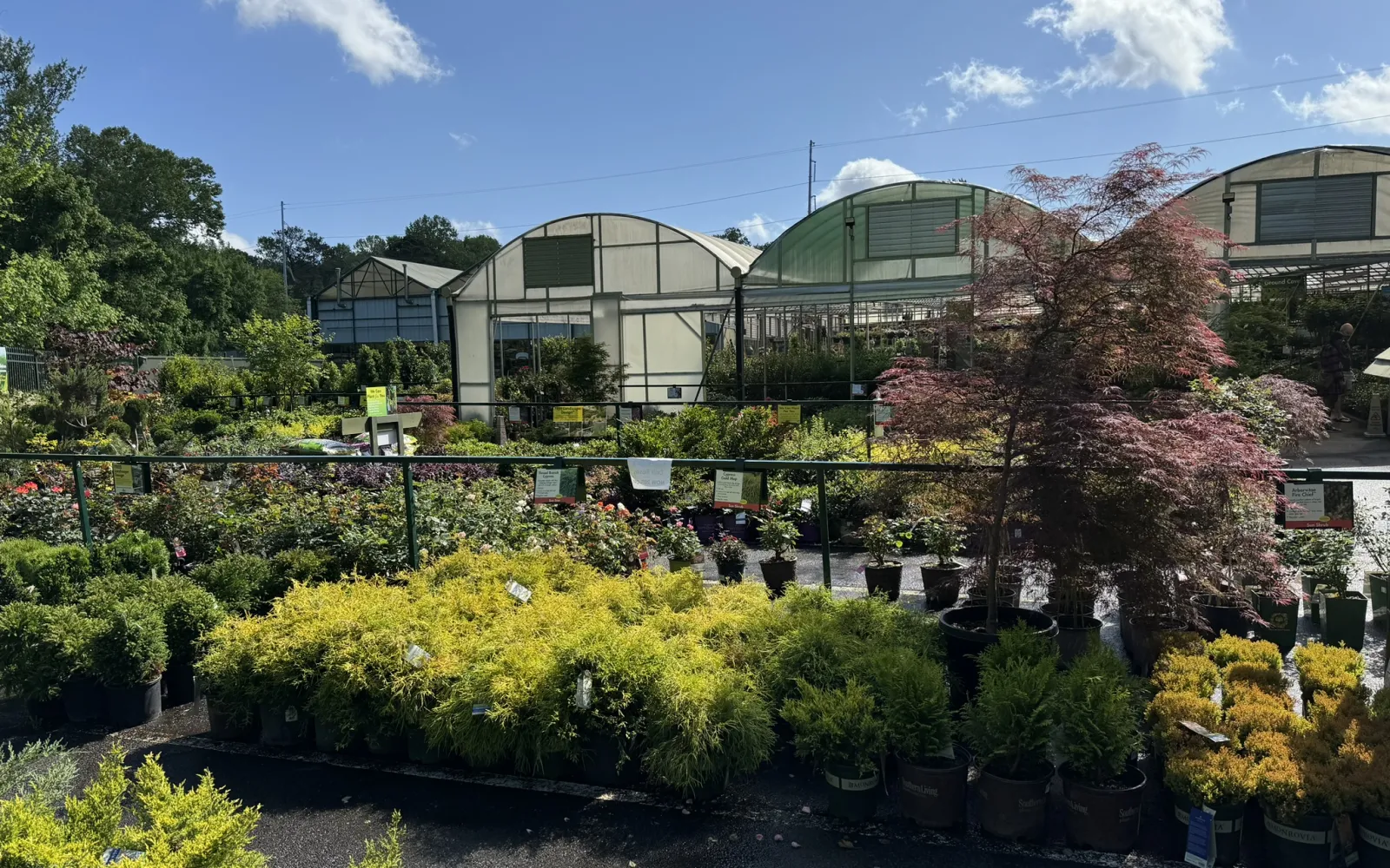 Pike Nurseries Garden Center & Landscape Design Buckhead, Atlanta, GA