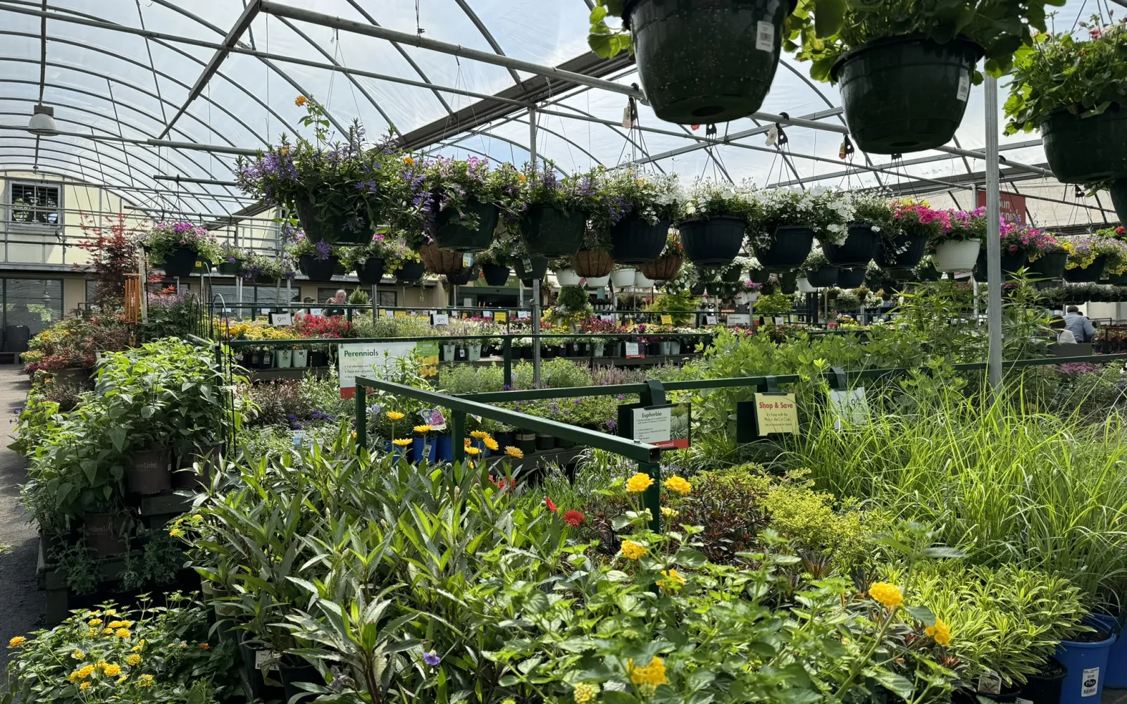 Pike Nurseries Garden Center & Landscape Design Buckhead, Atlanta, GA