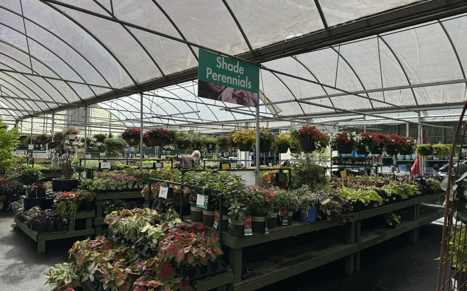 Pike Nurseries Garden Center & Landscape Design Buckhead, Atlanta, GA