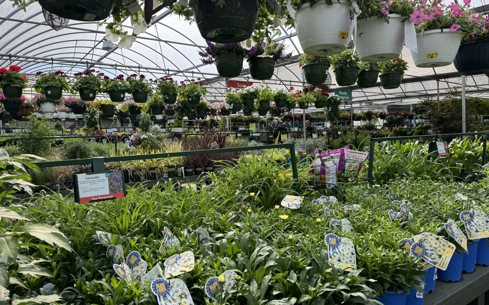 Pike Nurseries Garden Center & Landscape Design Buckhead, Atlanta, GA