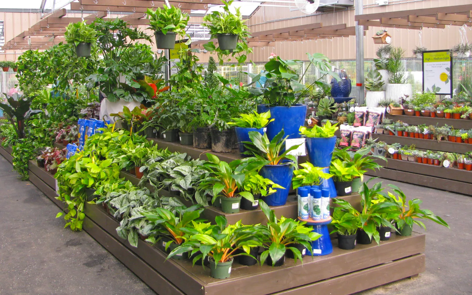 Pike Nurseries Garden Center & Landscape Design Charlotte, NC Pike