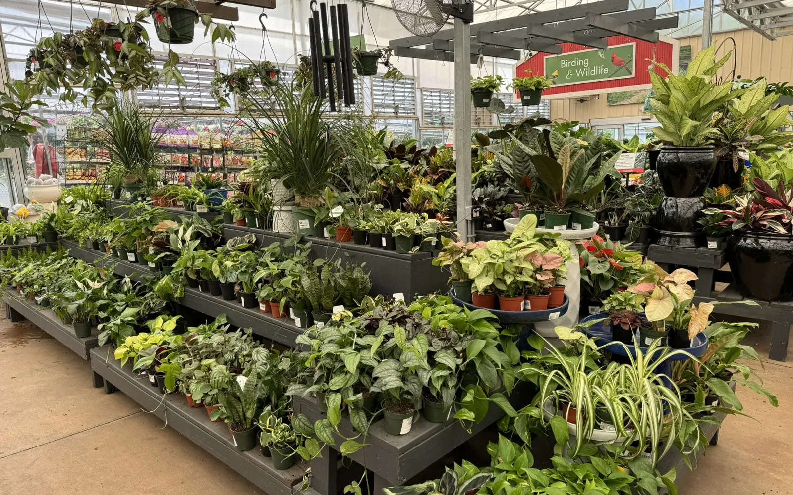 Pike Nurseries Garden Center & Landscape Design Buckhead, Atlanta, GA