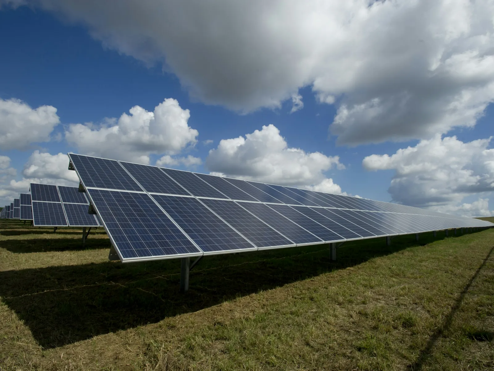 a row of solar panels