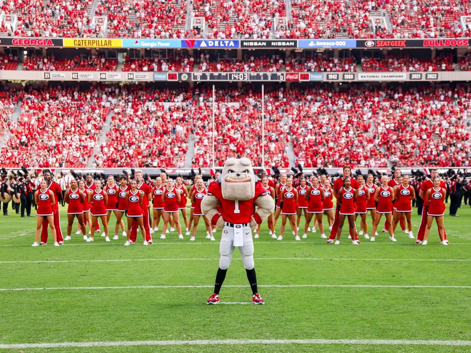 Georgia Bulldogs mascot standing on football field with cheerleaders and large crowd in stadium