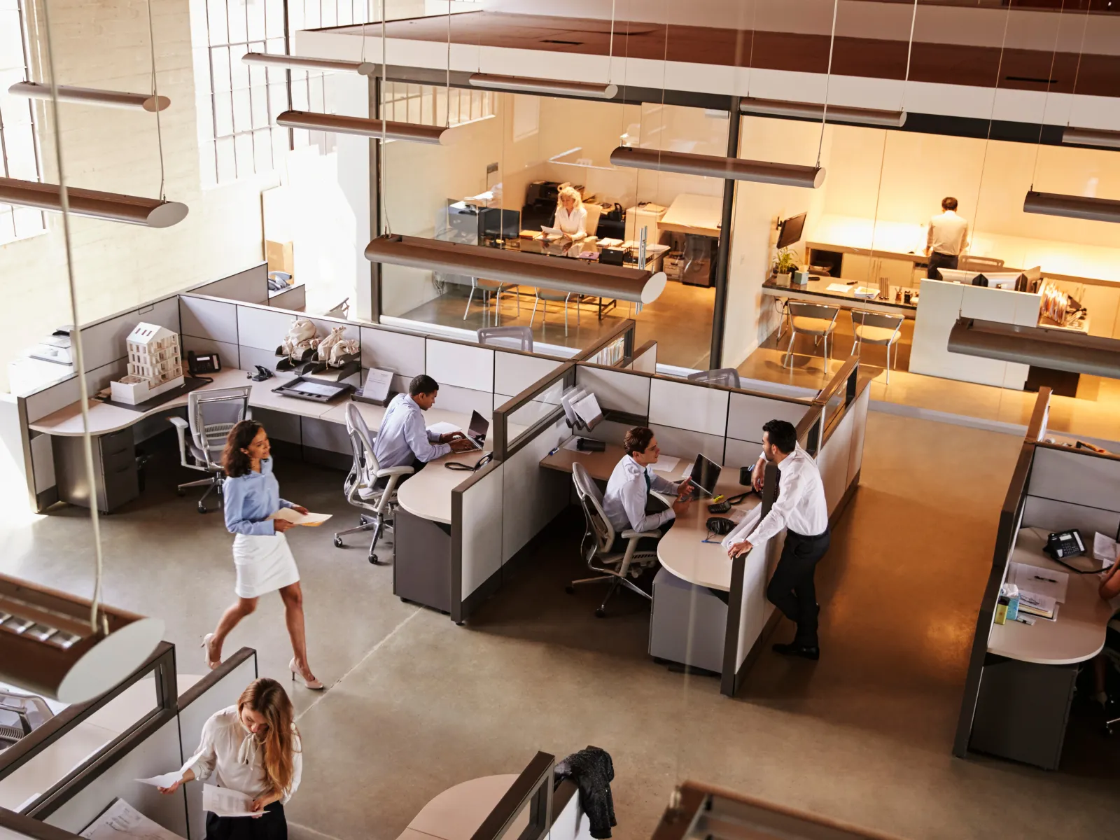 a group of people in an office
