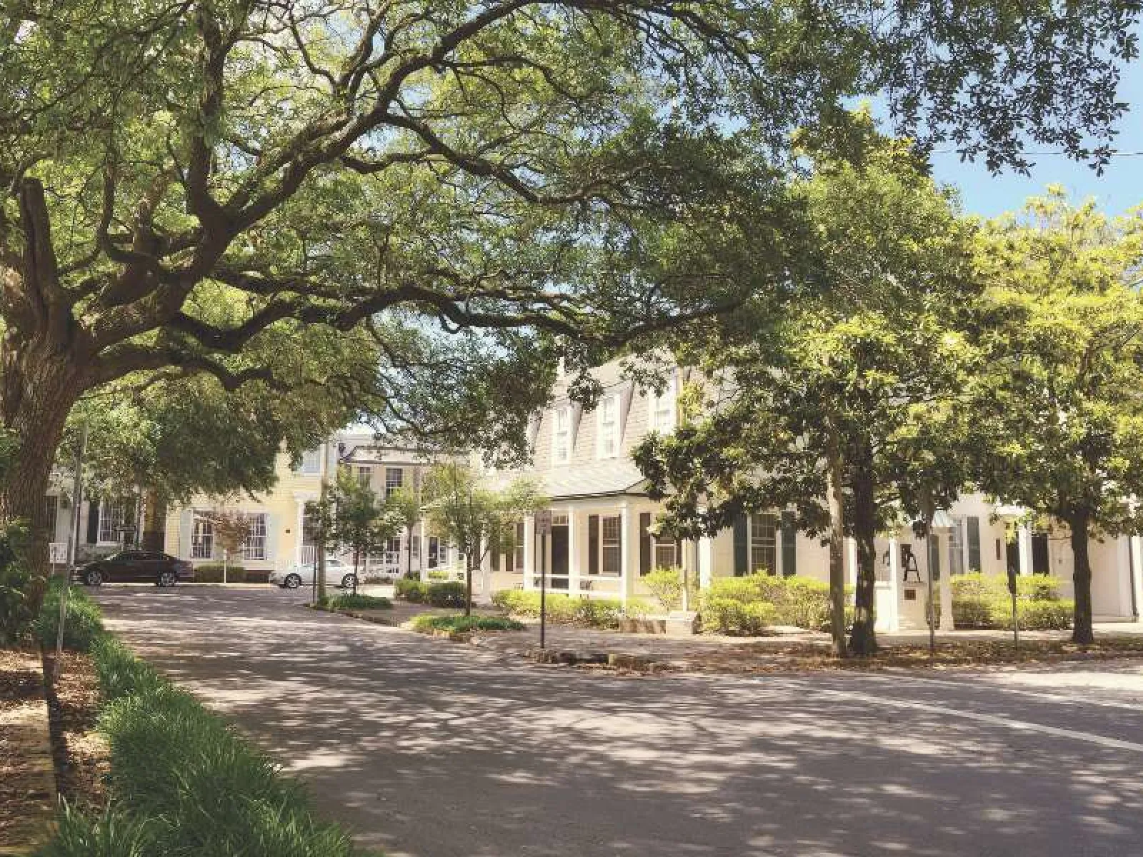 Sunlit quiet street lined with large trees and charming white houses with porches in a peaceful neighborhood
