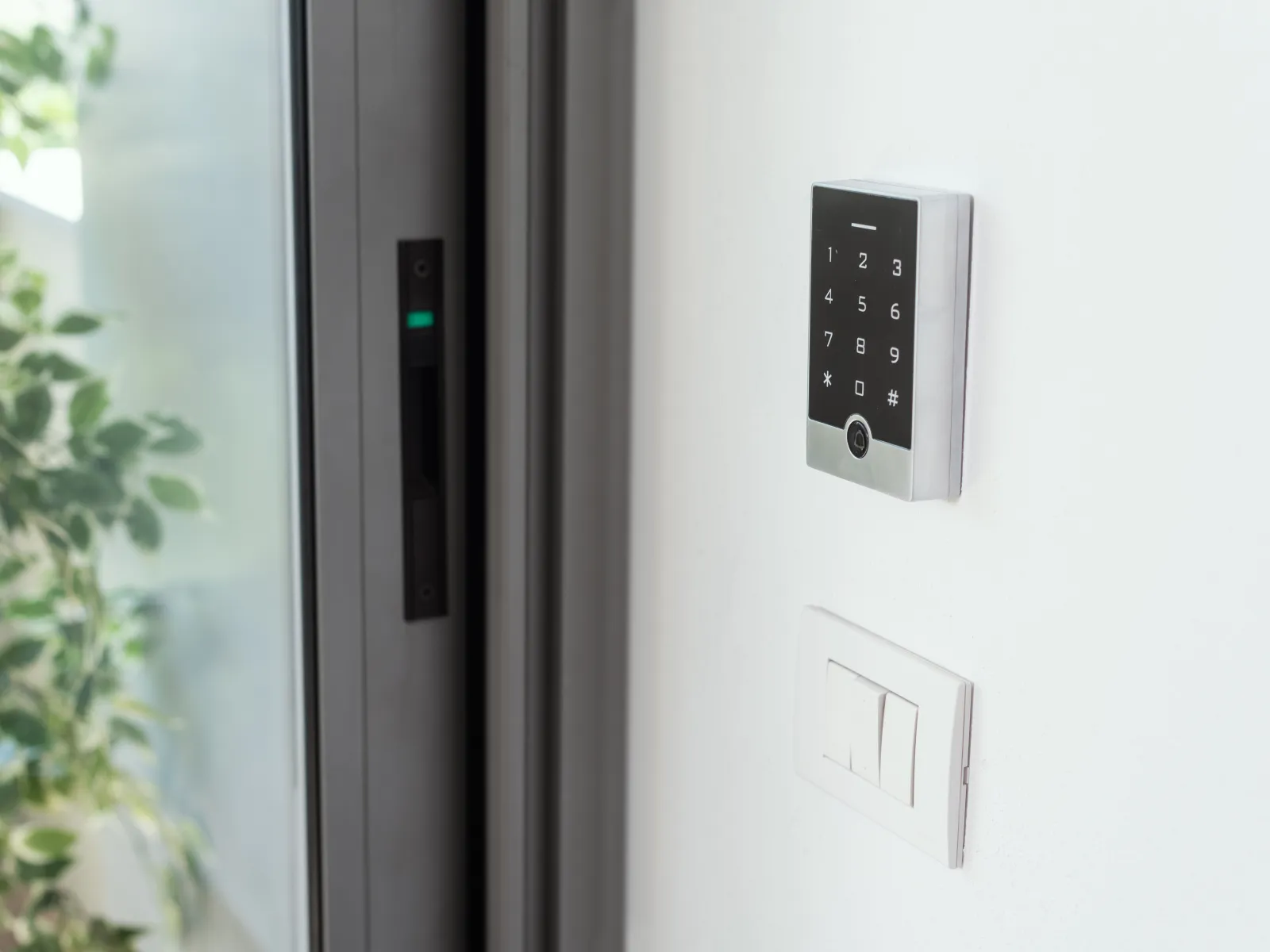 a door with a switch
