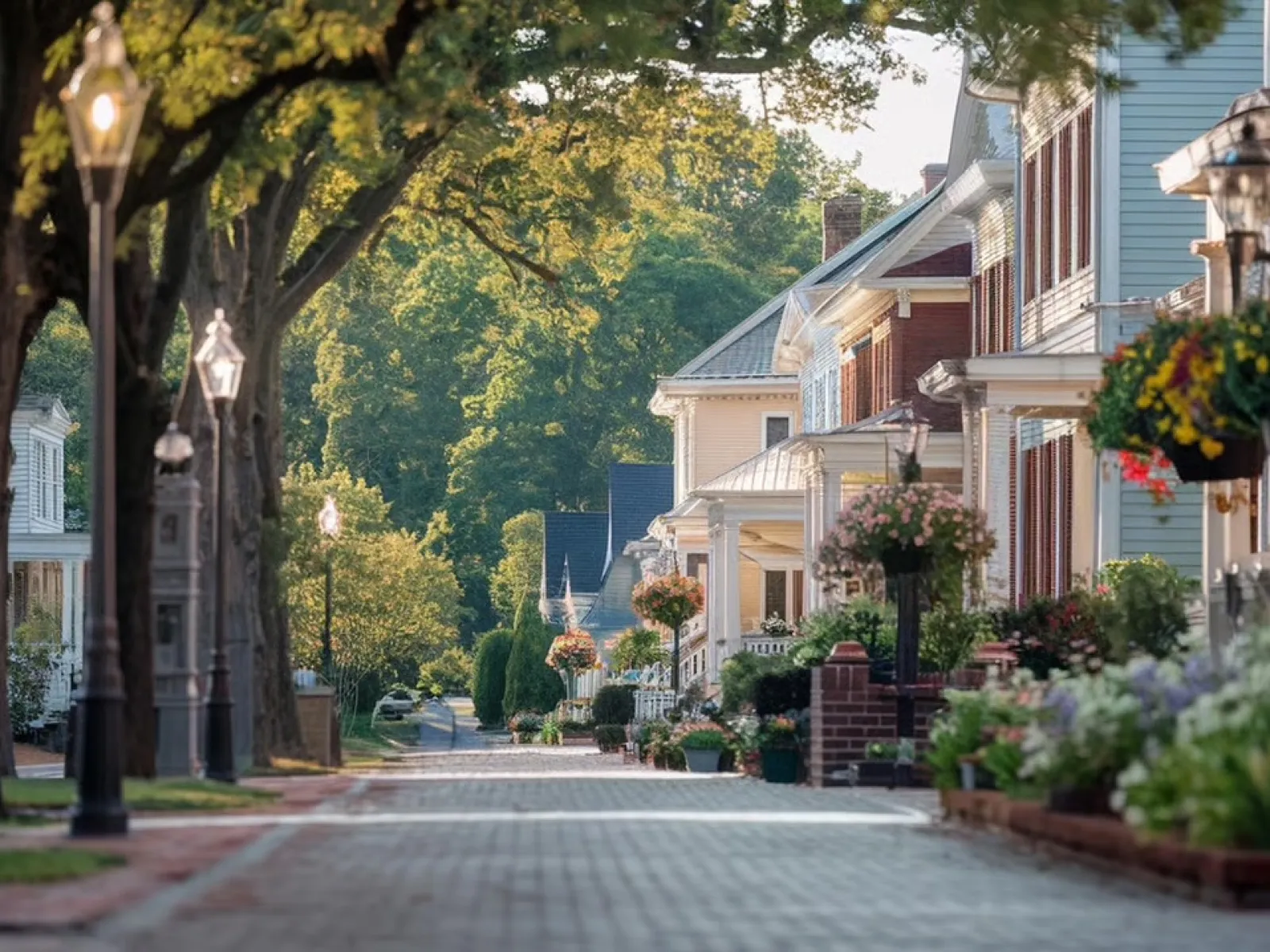 Quiet suburban street lined with colorful houses, trees, and hanging flower baskets in soft sunlight.